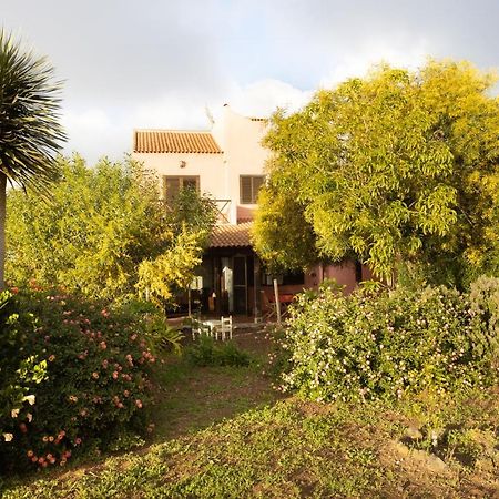 Home2Book Amazing Teide View & Terrace ساوزال المظهر الخارجي الصورة