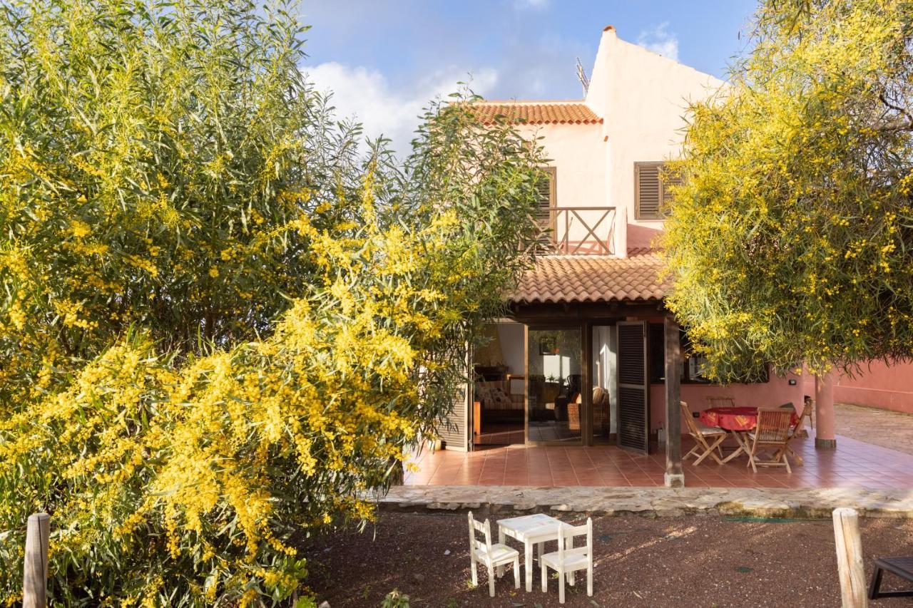 Home2Book Amazing Teide View & Terrace ساوزال المظهر الخارجي الصورة
